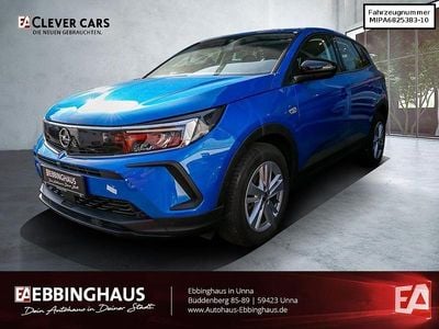 Gebraucht Opel Grandland X Basis 131 PS (96 kW) 2022 Blau SUV