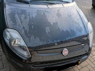 Fiat Punto Evo