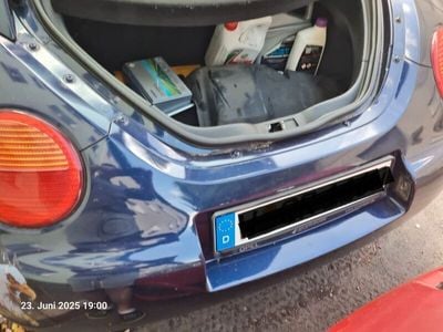 VW Beetle