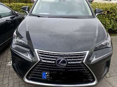 gebraucht Lexus NX300h NX Amazing Edition