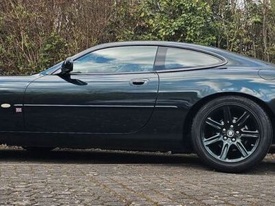 Jaguar XK8