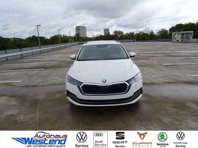 Gebraucht Skoda Octavia Style 150 PS (110 kW) 2024 Candy weiß Kombi