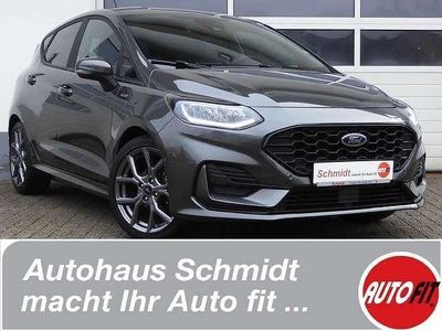 Gebraucht Ford Fiesta ST-Line 101 PS (74 kW) 2023 Grau Kleinwagen