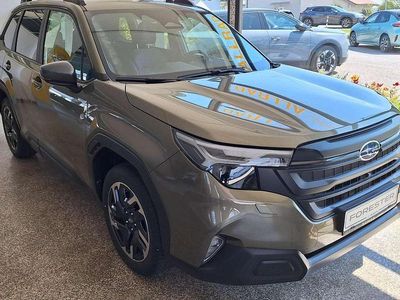 Nuova Subaru Forester Active 136 CV (100 kW) 2026 Verde SUV