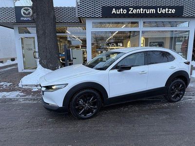 Weiß Neu 2026 Mazda CX-30 Homura-Line SUV | 29.890 €