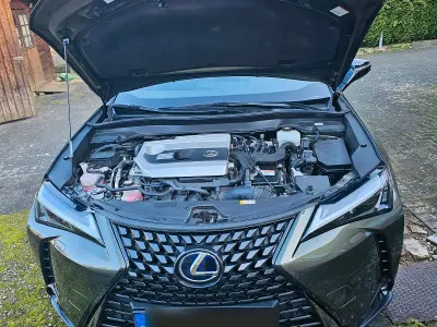 Gebraucht Lexus UX 250h 152 PS (111 kW) 2020 Grün SUV