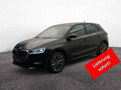 Grau Neu 2025 Skoda Fabia Tour Kleinwagen | 25.990 € (Etwas zu teuer)