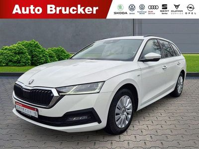Usata Skoda Octavia Tour 150 CV (110 kW) 2023 Bianco Station wagon