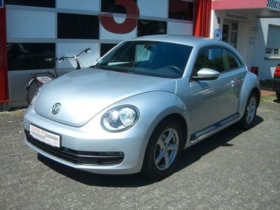 VW Beetle