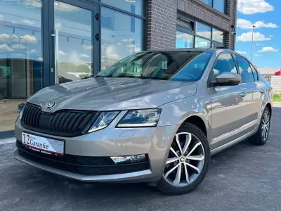 Gebraucht Skoda Octavia Drive 150 PS (110 kW) 2017 Beige Limousine