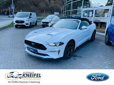 gebraucht Ford Mustang Convertible Eco Boost Leder Navi Keyless AD Klimasitze e-Sitze Rückfahrkam.