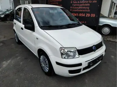 Usata Fiat Panda 54 CV (39 kW) 2008 Bianco Utilitaria