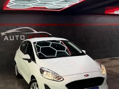 Gebraucht Ford Fiesta Trend 71 PS (52 kW) 2019 Weiß Kleinwagen