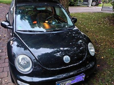 VW Beetle