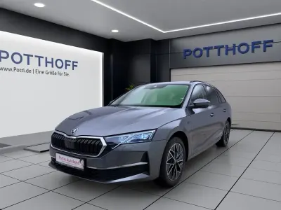 Occasion Skoda Octavia Tour 150 ch (110 kW) 2025 Gris Break