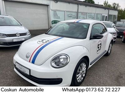 VW Beetle