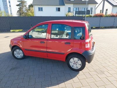 gebraucht Fiat Panda 