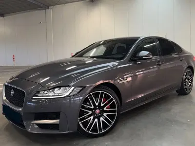 Gebraucht Jaguar XF R-Sport 300 PS (220 kW) 2016 Grau Limousine