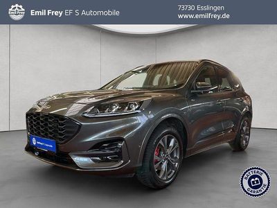 Usata Ford Kuga ST-Line 152 CV (111 kW) 2022 Grigio SUV