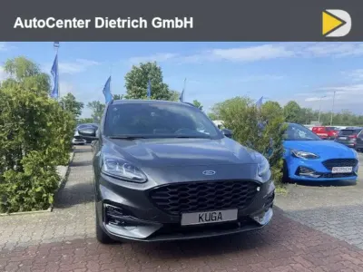 Gebraucht Ford Kuga ST-Line X 150 PS (110 kW) 2023 Magnetic metallic SUV