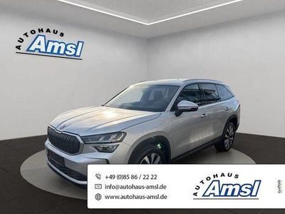 Gebraucht Skoda Kodiaq Selection 150 PS (110 kW) 2025 Silber SUV