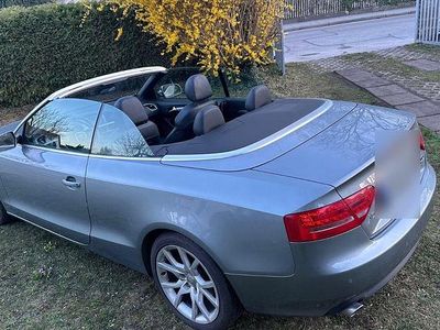 Gebraucht Audi A5 Cabriolet Sport 239 PS (175 kW) 2010 Grau Cabrio