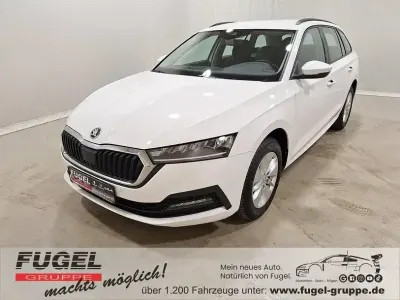 Gebraucht Skoda Octavia 150 PS (110 kW) 2023 Candyweiss Kombi