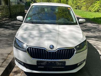 Gebraucht Skoda Fabia Active 95 PS (69 kW) 2020 Weiß Kleinwagen