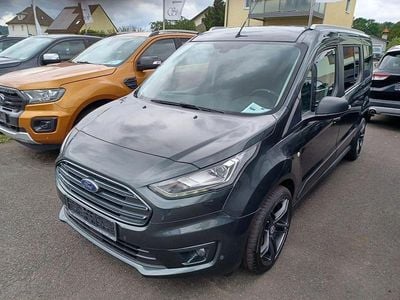Usata Ford Transit Trend 120 CV (88 kW) 2019 Verde Monovolume