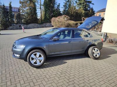 Gebraucht Skoda Octavia 105 PS (77 kW) 2016 Grau Kleinwagen