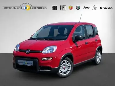 Gebraucht Fiat Panda 69 PS (50 kW) 2024 Rot Kleinwagen