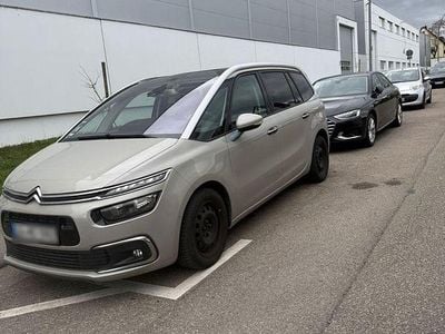 Usado Citroën C4 Start 150 HP (110 kW) 2017 Bege Sedan
