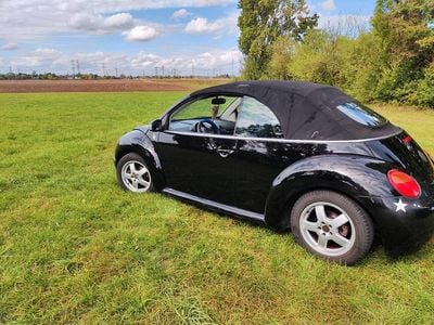 VW Beetle
