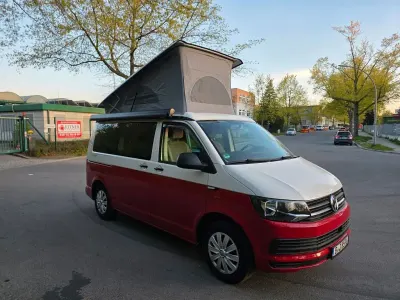 Second-hand VW California California 150 CP (110 kW) 2019 Alb Van