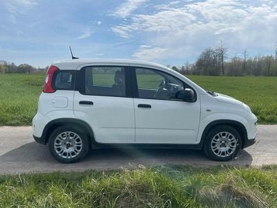 Second-hand Fiat Panda 71 CP (52 kW) 2024 Alb Hatchback