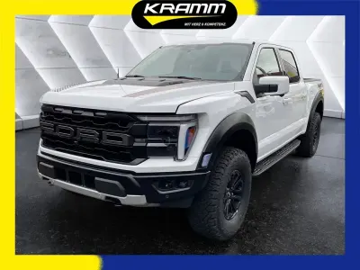 Gebraucht Ford F-150