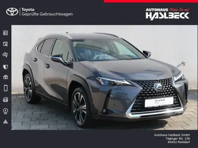 Gebraucht Lexus UX 250h 184 PS (135 kW) 2023 Obsidiangrau metallic SUV