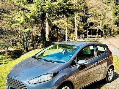 Grau Gebraucht 2013 Ford Fiesta Kleinwagen | 3.999 € (Fairer Preis)