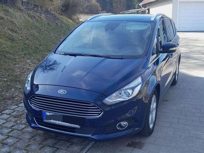 Gebraucht Ford S-MAX Titanium 190 PS (139 kW) 2019 Blau Van / Kleinbus