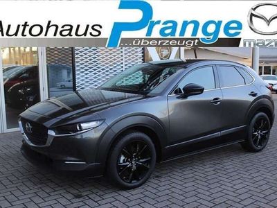 gebraucht Mazda CX-30 2024 M-Hybrid Homura X-186 AT NAVI MRCC HUD 18-Zol