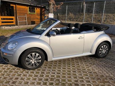 VW Beetle