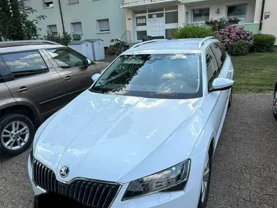 Gebraucht Skoda Superb 150 PS (110 kW) 2019 Weiß Kombi