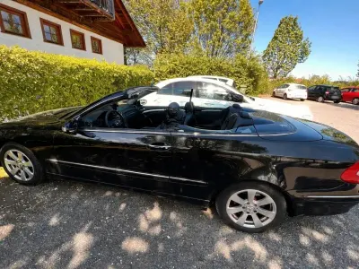 Gebraucht Mercedes CLK200