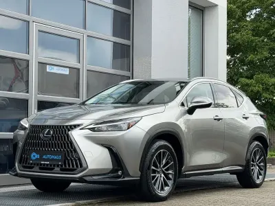 Second-hand Lexus NX350h Business Edition 243 CP (178 kW) 2023 Argintiu SUV