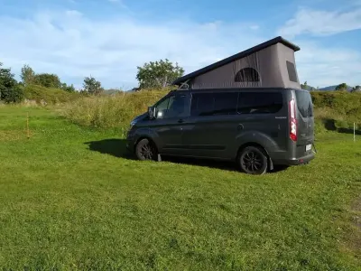 Gebraucht Ford Tourneo Custom Trend 170 PS (125 kW) 2020 Grau Van
