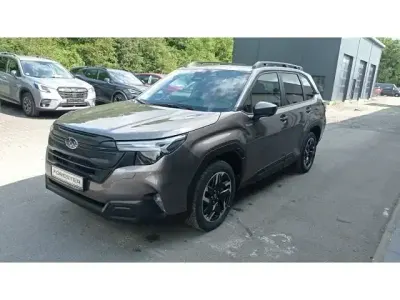 Gebraucht Subaru Forester Exclusive+ 136 PS (100 kW) 2025 Braun SUV