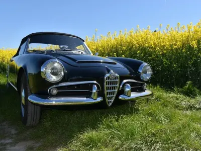 Gebraucht Alfa Romeo Giulia Spider 110 PS (80 kW) 1964 Schwarz Cabrio