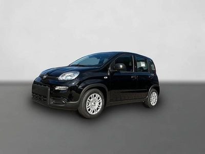 Second-hand Fiat Panda 69 CP (50 kW) 2025 Negru Hatchback