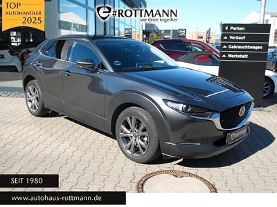 Gebraucht Mazda CX-30 Exclusive 186 PS (136 kW) 2024 Grau SUV