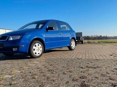 Blau Gebraucht 2002 Skoda Fabia Kleinwagen | 2.500 € (Teuer)